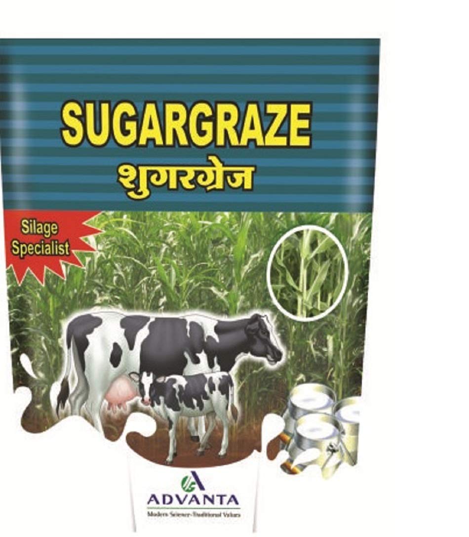 Sugargraze Seeds